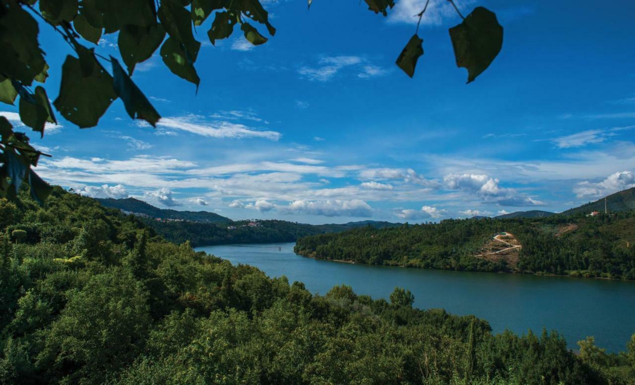 Quinta Vilar E Almarde Каштелу-де-Пайва Екстер'єр фото